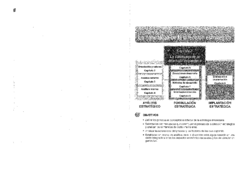 Libro-estrategia-Tema-1.pdf