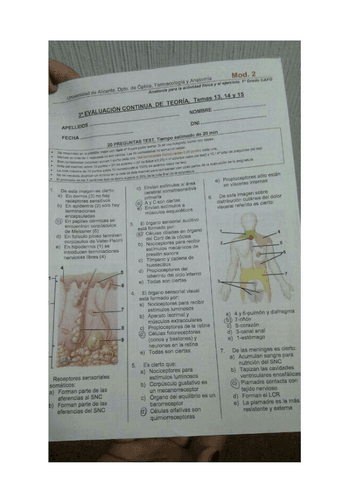 examen-anatomia-1.pdf