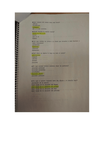 examen-anatomia-2.pdf