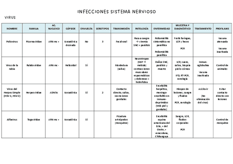 Infecciones-sistema-nervioso.pdf