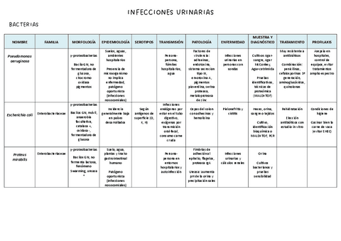 Infecciones-urinarias.pdf