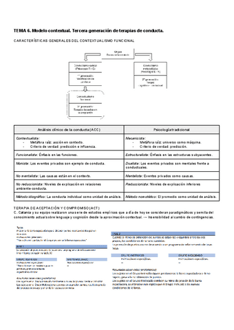 TEMA-6-Tecnicas.pdf