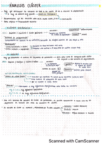 ESQUEMAS-TEMARIO-COMPLETO-SPSS.pdf
