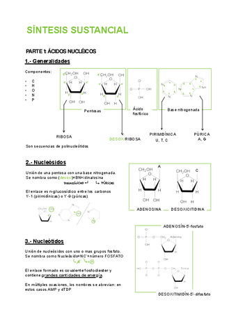 RESUMEN-LA-CELULAACIDOS-NUCLEICOS.pdf