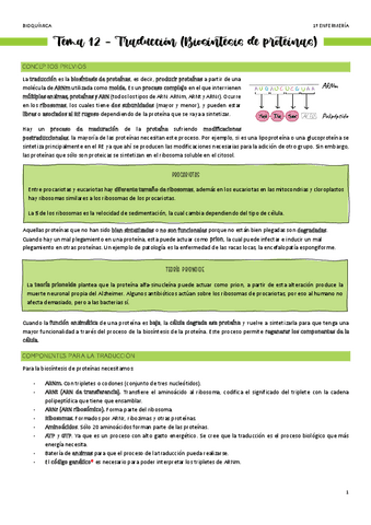 Tema-12-Traduccion.pdf