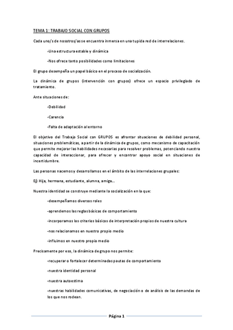INTERACCION-apuntes-1-8.pdf