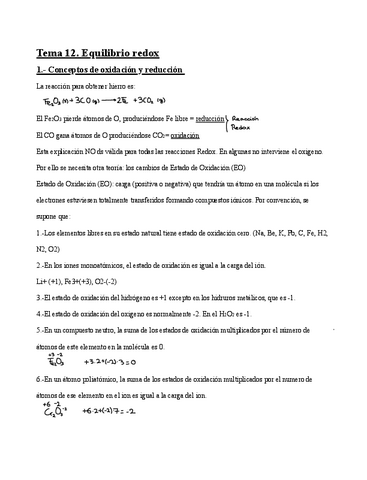 Apuntes-Tema-12.pdf