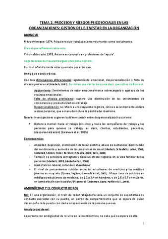 TEMA-2.pdf
