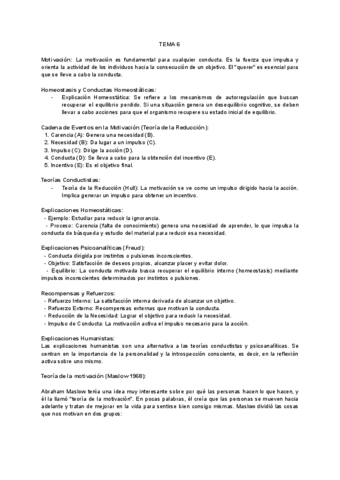 RESUMEN-6.pdf