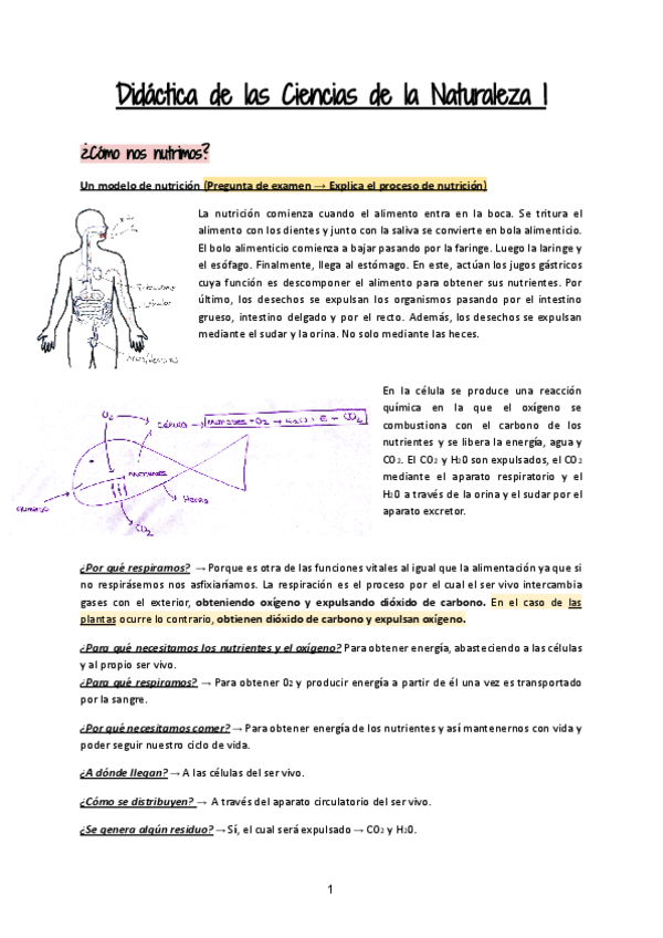 Momento-II-Examen.pdf
