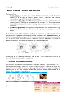 TEMA 1.pdf