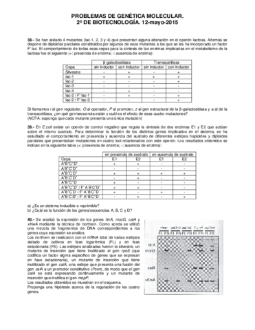 Problemas 5.pdf