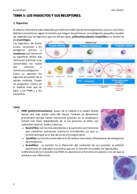 TEMA 5.pdf