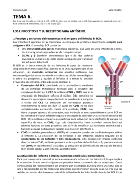 TEMA 6.pdf