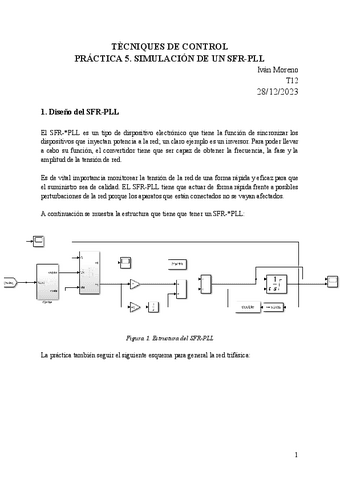 P5.pdf