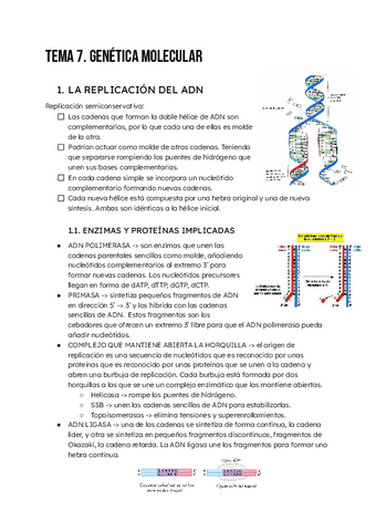 Biología -Genetica-molecular.pdf