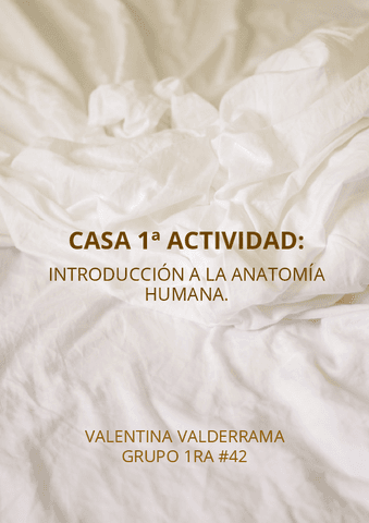 CASA-1-ACTIVIDAD-Anatomia.pdf