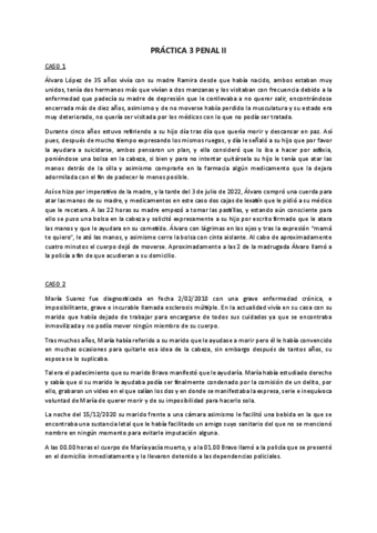 Practica-3-penal-II.pdf
