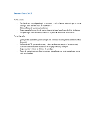 Examen Enero 2016.pdf