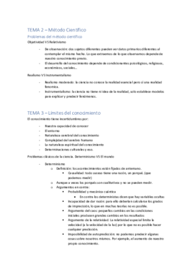 Resumen TIS.pdf