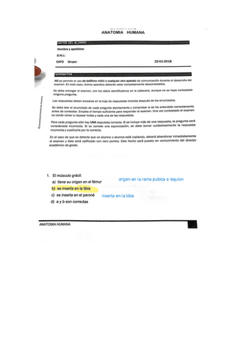 final-anatomia2018.pdf