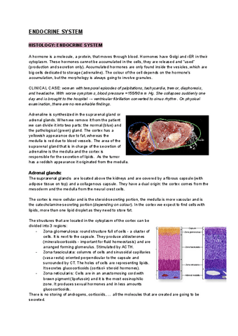 IOS2-ENDOCRINE-SYSTEM-2.pdf