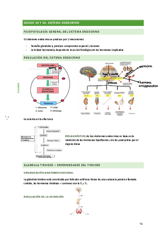 tema-13-y-14.pdf