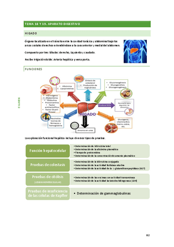 tema-18-y-19.pdf