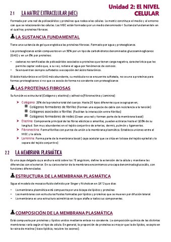 resumen-Nivel-celular.pdf