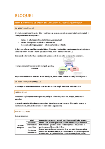 TEMA-1.pdf