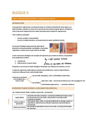 tema-3.pdf