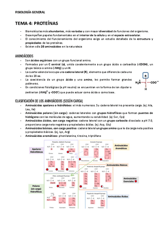 TEMA-4-PROTEINAS.pdf