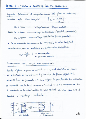 Apuntes tema 7 con ejercicios resueltos.pdf