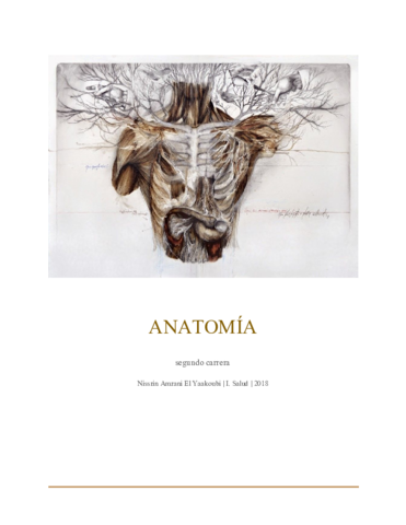 Temario Anatomia.pdf