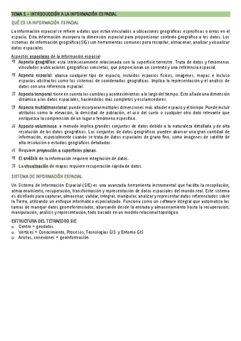 resumenteoriatemas1234567.pdf