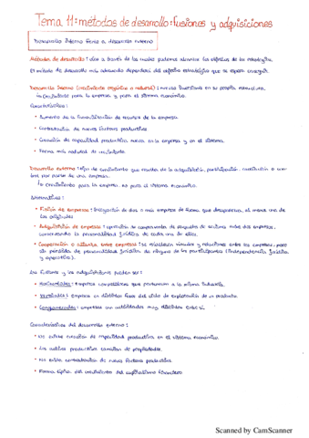 Resumen tema 11.pdf
