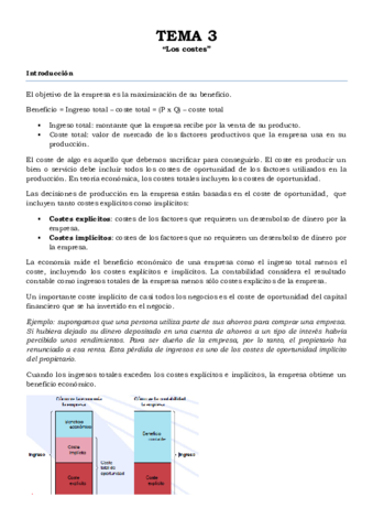 TEMA 3.pdf