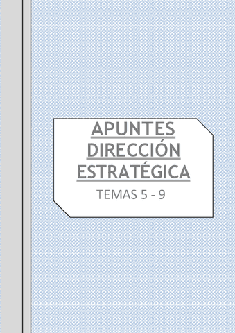 Apuntes-Direccion-EstrategicaTemas-5-9.pdf