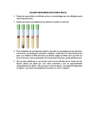 EXAMEN-DESARROLLO-MICROBIOLOGIA-ENERO-2024.pdf