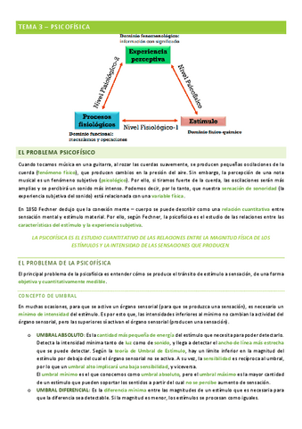 percepcion-tema-3.pdf