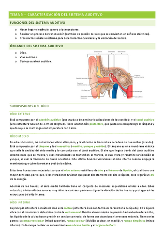 percepcion-tema-5.pdf