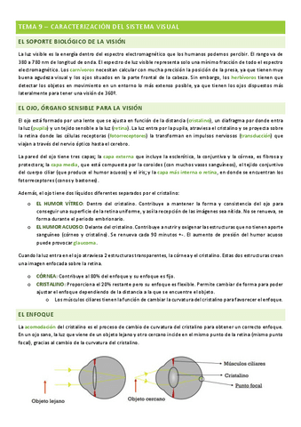 percepcion-tema-8.pdf