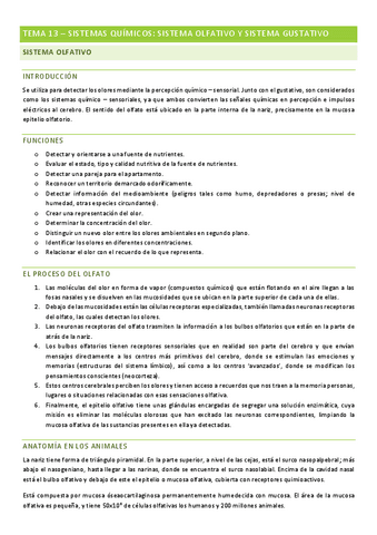 percepcion-Tema-13.pdf