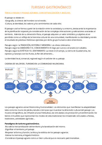 APUNTES-T3-TURISMO.pdf