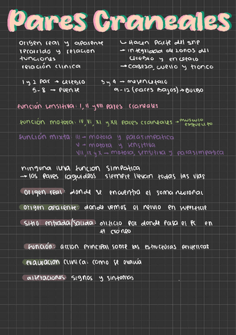 PARES-CRANEALES.pdf