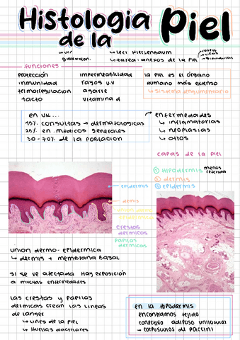 PIEL-TERMO-Y-TACTO.pdf