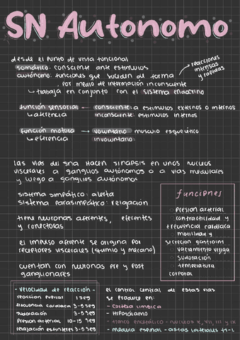 SNA-e-HIPOTALAMO.pdf