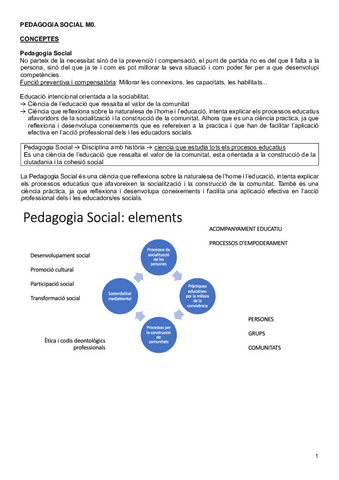 Pedagogia-Apunts-Examen-Final.pdf