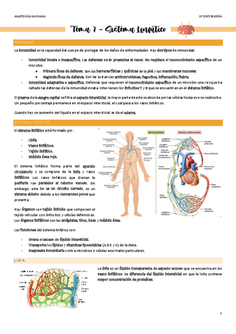 Tema-7-Sistema-Linfatico.pdf