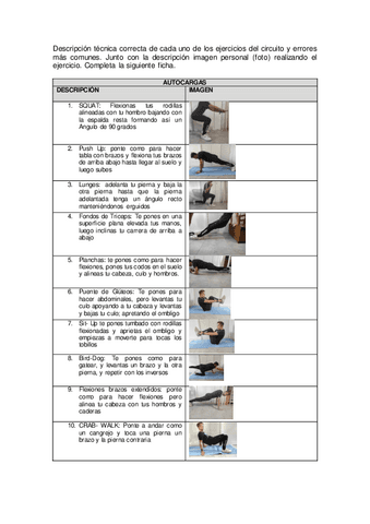 Trabajo-de-ina-ficha-de-un-circuito-autocargas.pdf